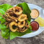 Fried Calamari